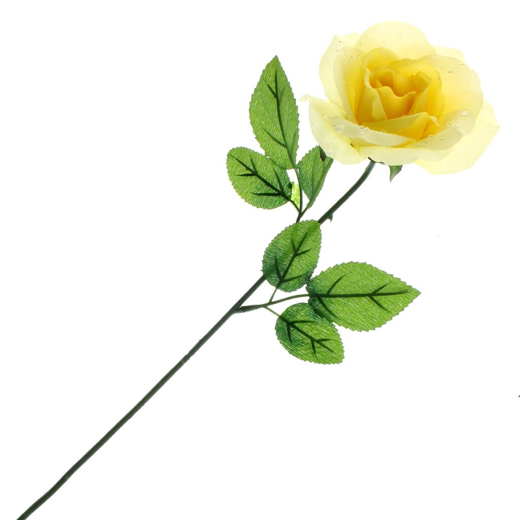 10263873.jpg img